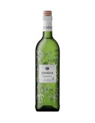 Protea Sauvignon Blanc